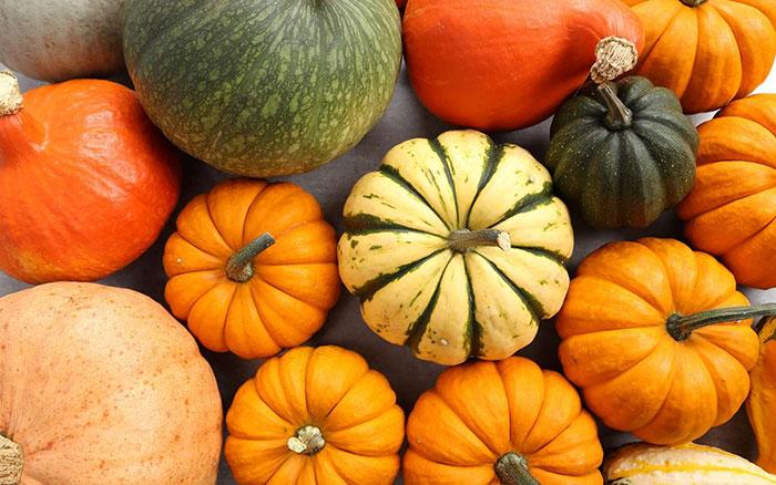 courges