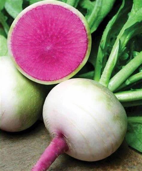 radis-melon
